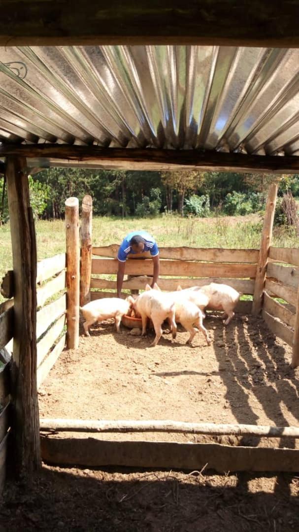 Willa Karungi Camp Rubuguli Zewnętrze zdjęcie